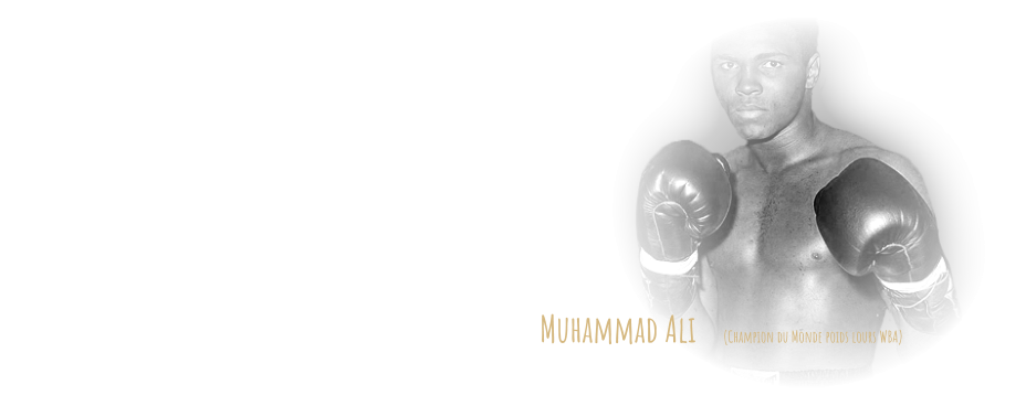 "Ce n'est pas la hauteur de la montagne à gravir qui va t'empêcher d'avancer, c'est le caillou dans ta chaussure. "   Muhammad Ali    (Champion du Monde poids lours WBA)